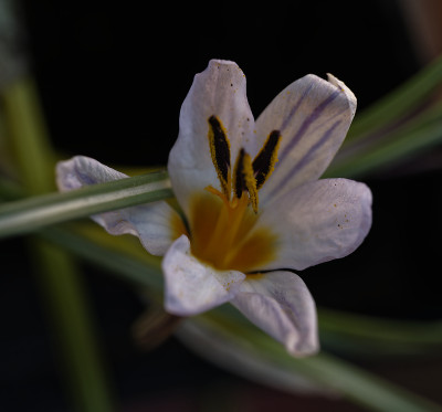 DSC_4560_DxO.jpg