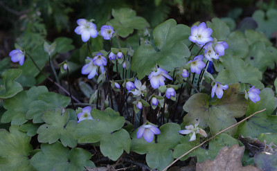DSC_4561_DxO.jpg