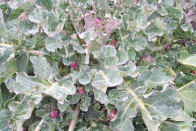 K640_100_4920.JPG