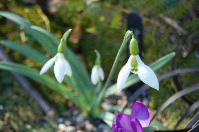 DSC_0379.JPG