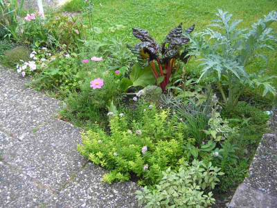 blumenbeetmkraeuter.jpg