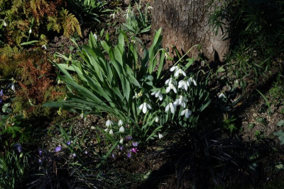 DSCF6145.JPG