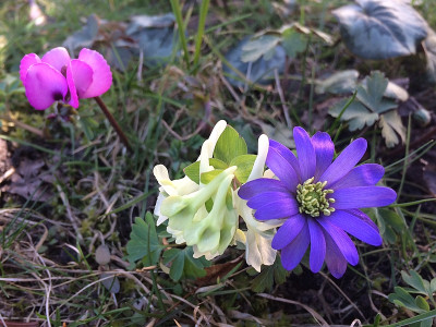 2022-03-13 Farben.jpg