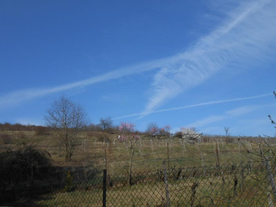 DSCN3698.JPG