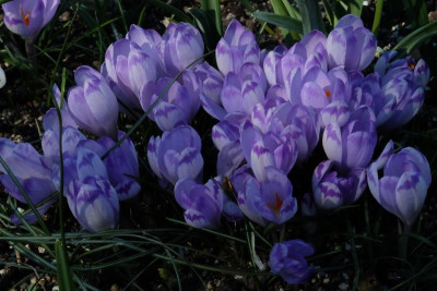 DSCF6157.JPG