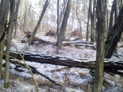 IMG_20220122_122323.jpg