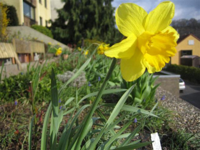 IMG_2610_Small.JPG