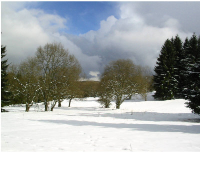 Ostern_08_Arnoldshain_Galgenfeld_Wiesen.jpg