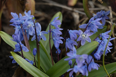 DSC_4597_DxO.jpg