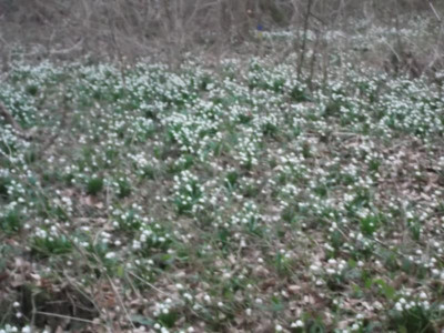DSCF4682.JPG