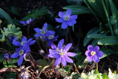 DSCF6170.JPG