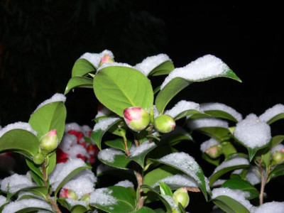 K640_P1050234.JPG