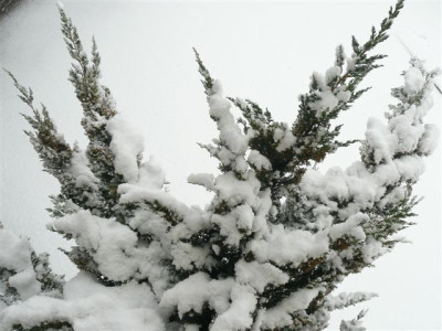 22.03.2008.56.JPG