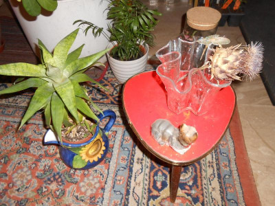 DSCN3717.JPG
