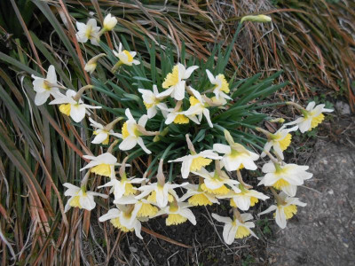 DSCN3711.JPG