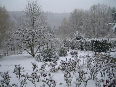 schnee_9633.jpg