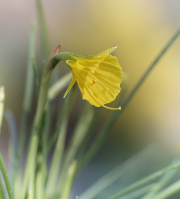 DSC_4659_DxO.jpg