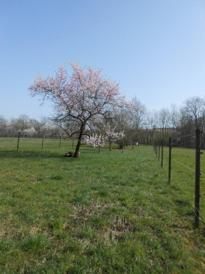 DSCN3728.JPG