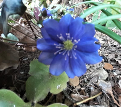 20220321_145928.jpg