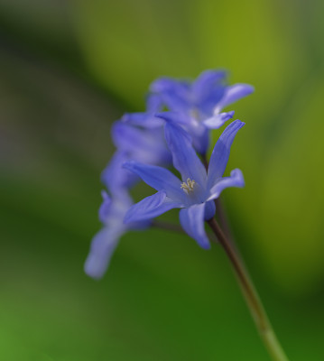 DSC_4665_DxO.jpg