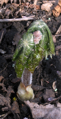 Image1_u1.jpg