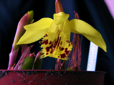 DSCN0051_u.jpg
