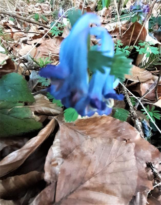 20220323_175708.jpg