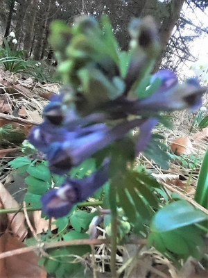 20220323_180901.jpg