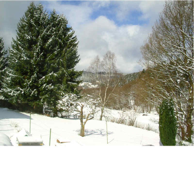 GArten_25.03.08.jpg