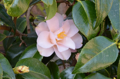 DSC_3541.JPG
