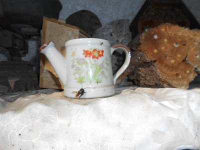 DSCN3779.JPG