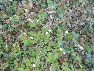 DSCN3792.JPG