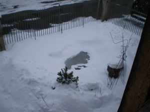 250308.jpg