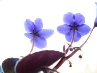 Versuch11.jpg