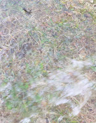 20220327_151929.jpg