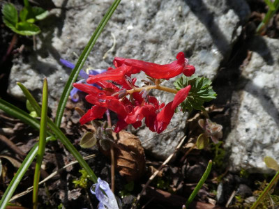 P1140461.JPG