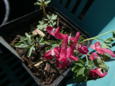 P1140419.JPG