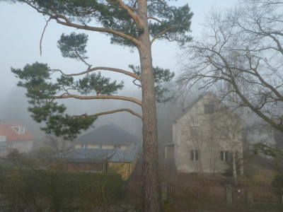 P1140414.JPG