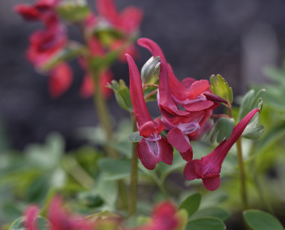 DSC_4701_DxO.jpg