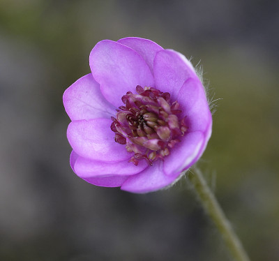 DSC_4723_DxO.jpg
