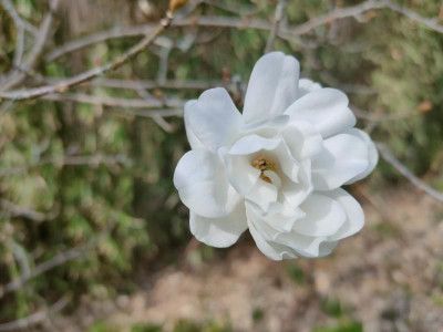 IMG20220329125419.jpg