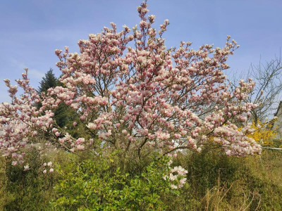 IMG20220329125550.jpg