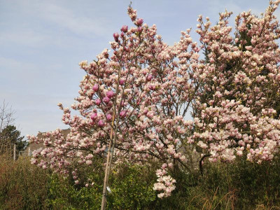 IMG20220329125642.jpg