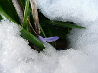 28.03.2008.20.JPG