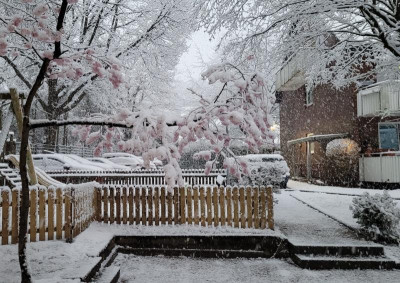 Frühlingsschnee_5.jpg