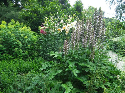 IMG_20190712_175828.jpg