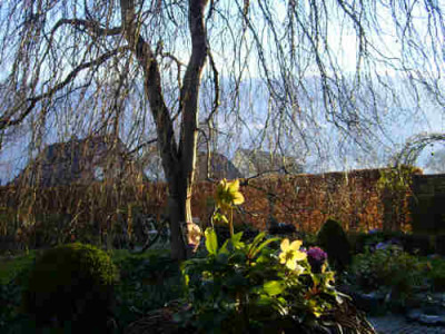 S7002821klein.jpg