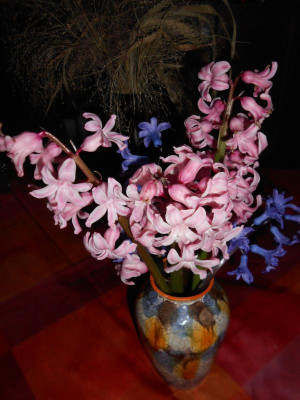 DSCN3858.JPG