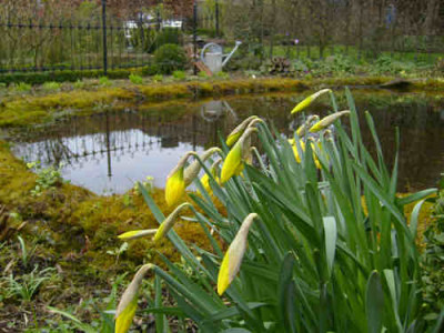 S7002735klein.jpg