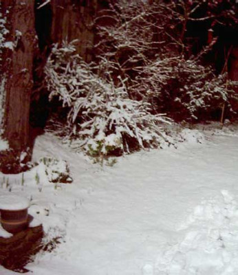 SnowGB.jpg